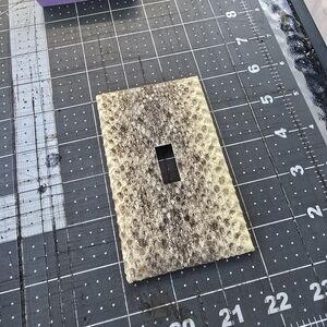 Genuine Diamondback Rattlesnake Skin Light Switch Cover
